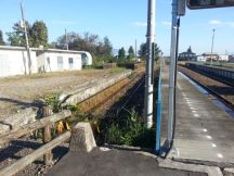 40871-1.jpg