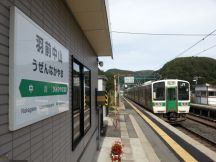 40880.jpg