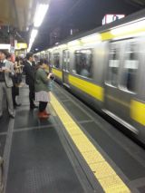40911.jpg