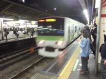 40919.jpg