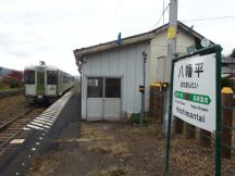 40929.jpg