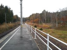 40941-1.jpg