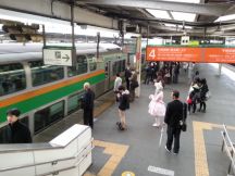 40969-1.jpg