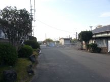 40978-3.jpg