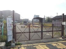 40979-6.jpg