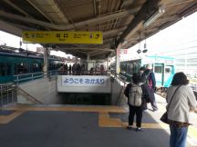 40982-6.jpg