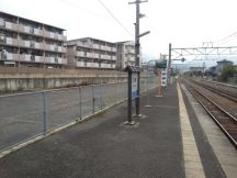 40987-3.jpg