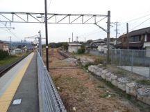 41011-2.jpg