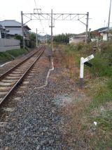 41011-5.jpg