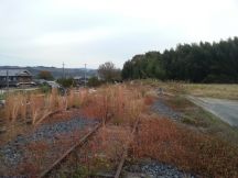 41013-1.jpg