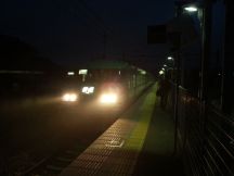 41014.jpg