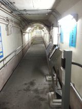 41033-2.jpg