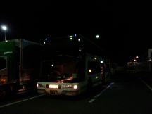 41052.jpg