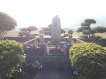 41059.jpg