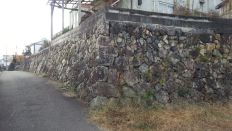 41090.jpg