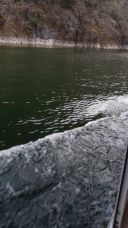 41101-1.jpg