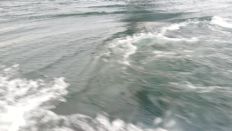 41160.jpg