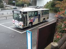 41165.jpg