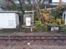 41173-1.jpg