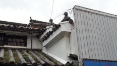41187-2.jpg
