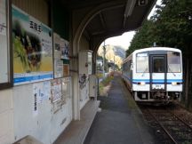 41297.jpg