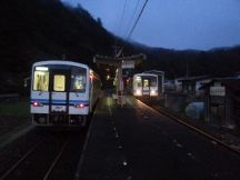 41317.jpg