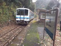 41335.jpg
