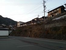 41341-4.jpg