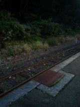 41361-3.jpg