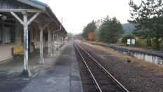 41369-5.jpg