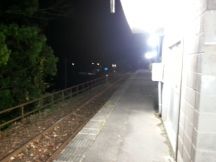 41388-6.jpg