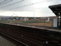 41418-1.jpg