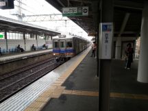 41418-5.jpg