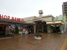 41422-2.jpg