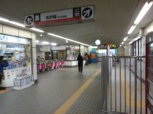 41424-1.jpg