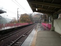 41429-1.jpg