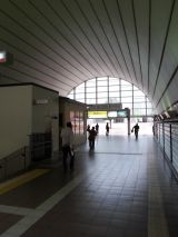 41431-3.jpg