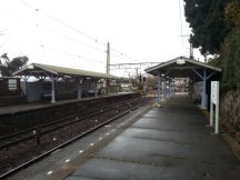 41435-1.jpg