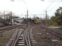 41435-5.jpg