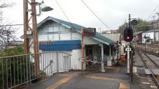 41436-1.jpg