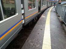 41441-1.jpg