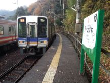 41443.jpg