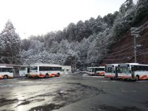 41448-3.jpg