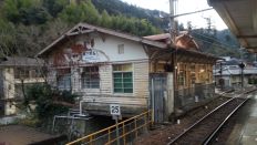 41452-1.jpg