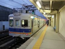41467-1.jpg