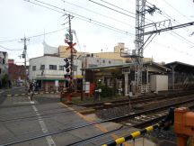 41474-5.jpg
