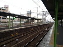 41475-1.jpg