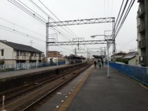 41479-1.jpg