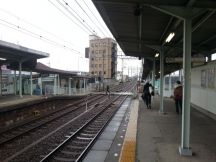 41481-1.jpg