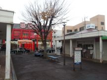 41483-5.jpg